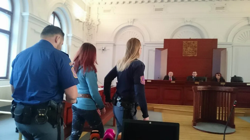 V kauze vraždy novorozence poslal soud obžalovanou matku na 17 let do vězení