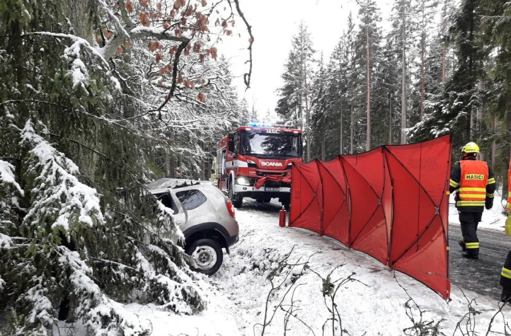 Starší řidič sjel ze silnice a narazil do stromu, zemřel na místě