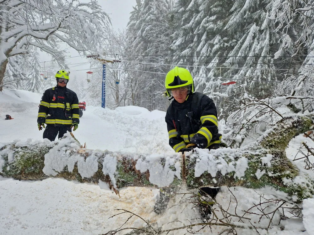 Hasiči odstraňují padlý strom na Hofmankách u šumavského Špičáku