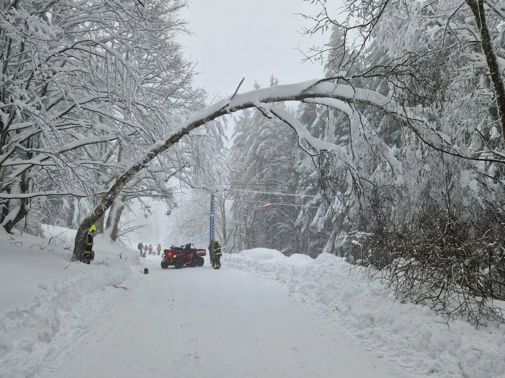 Hasiči odstraňují padlý strom na Hofmankách u šumavského Špičáku