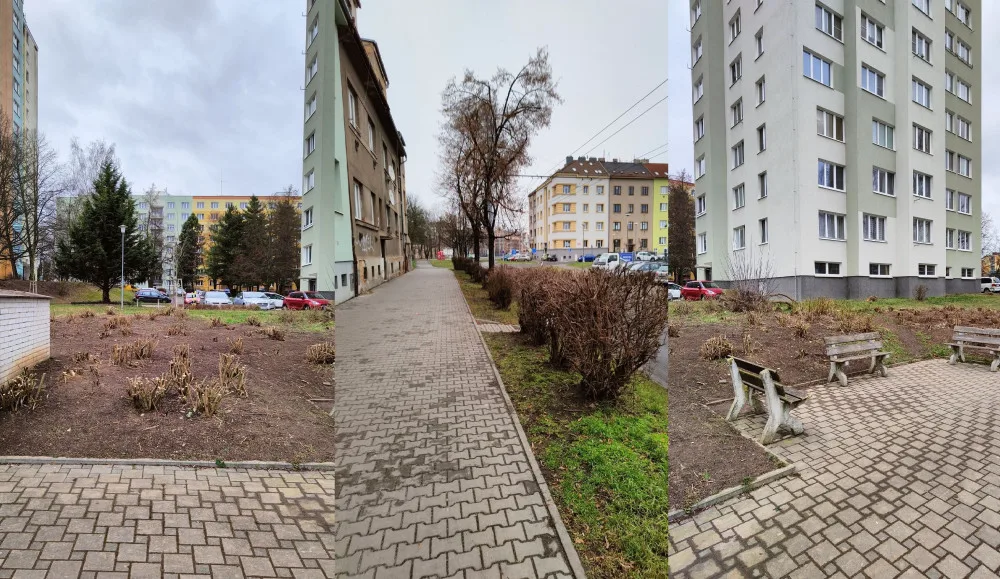 Skvrňany