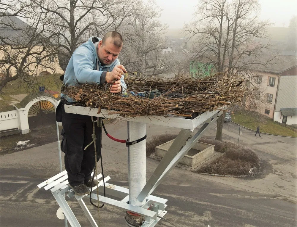 Šumavská obec připravila nové hnízdo pro své čápy. Staré bylo vpleteno do vodičů elektrického vedení a muselo pryč