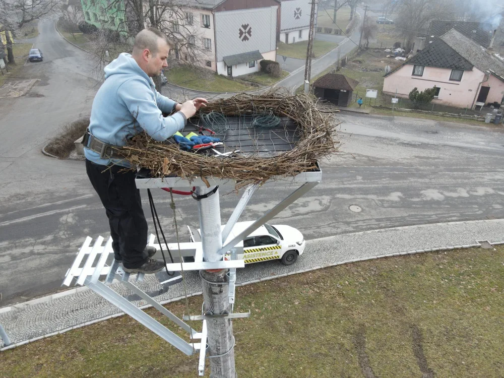 Šumavská obec má nový sloup s hnízdem pro své čápy. Staré bylo vpleteno do vodičů elektrického vedení a muselo pryč