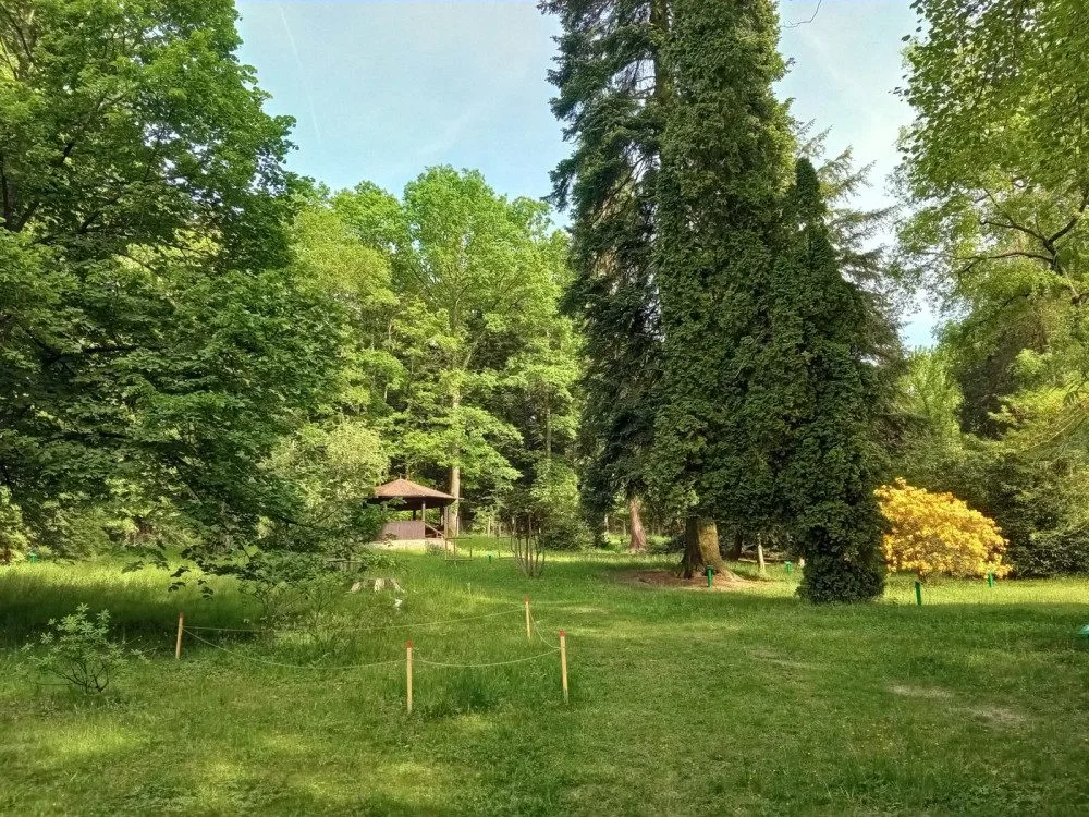 Americká zahrada