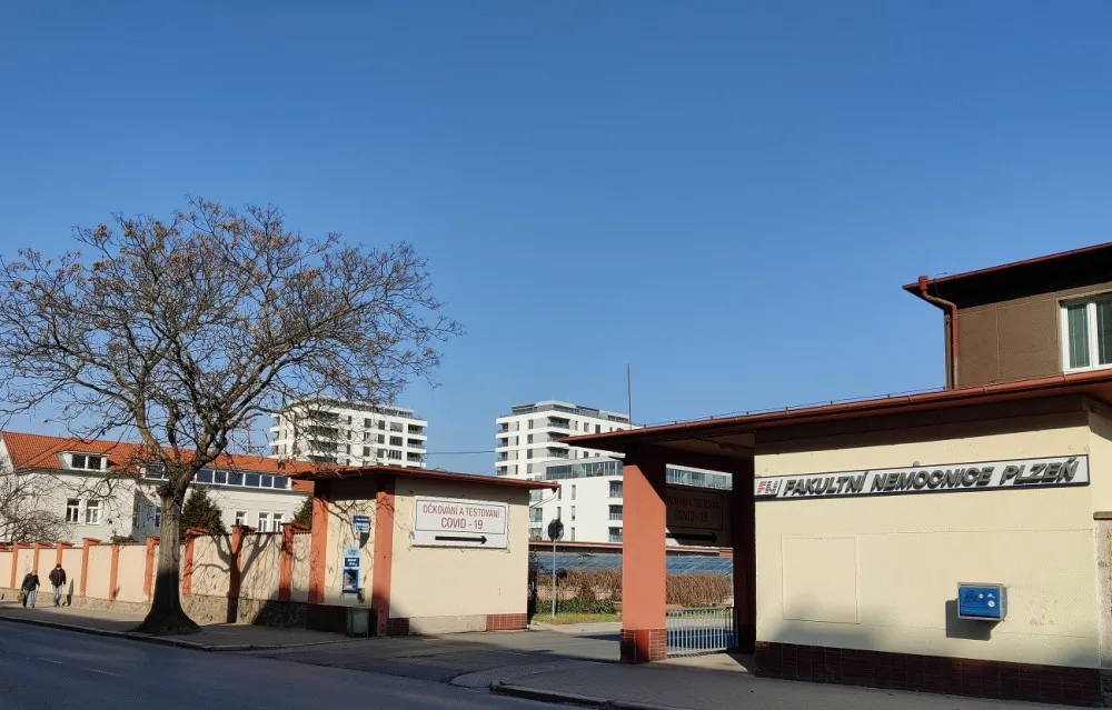 U fakultní nemocnice na Borech začne zítra kácení stromů, musí ustoupit novým parkovacím místům