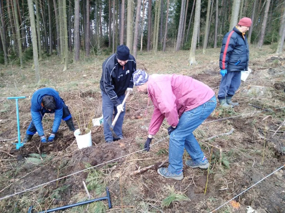 Plzeňané se mohou zapojit do obnovy lesa a vysadit si v arboretu Sofronka svůj stromek