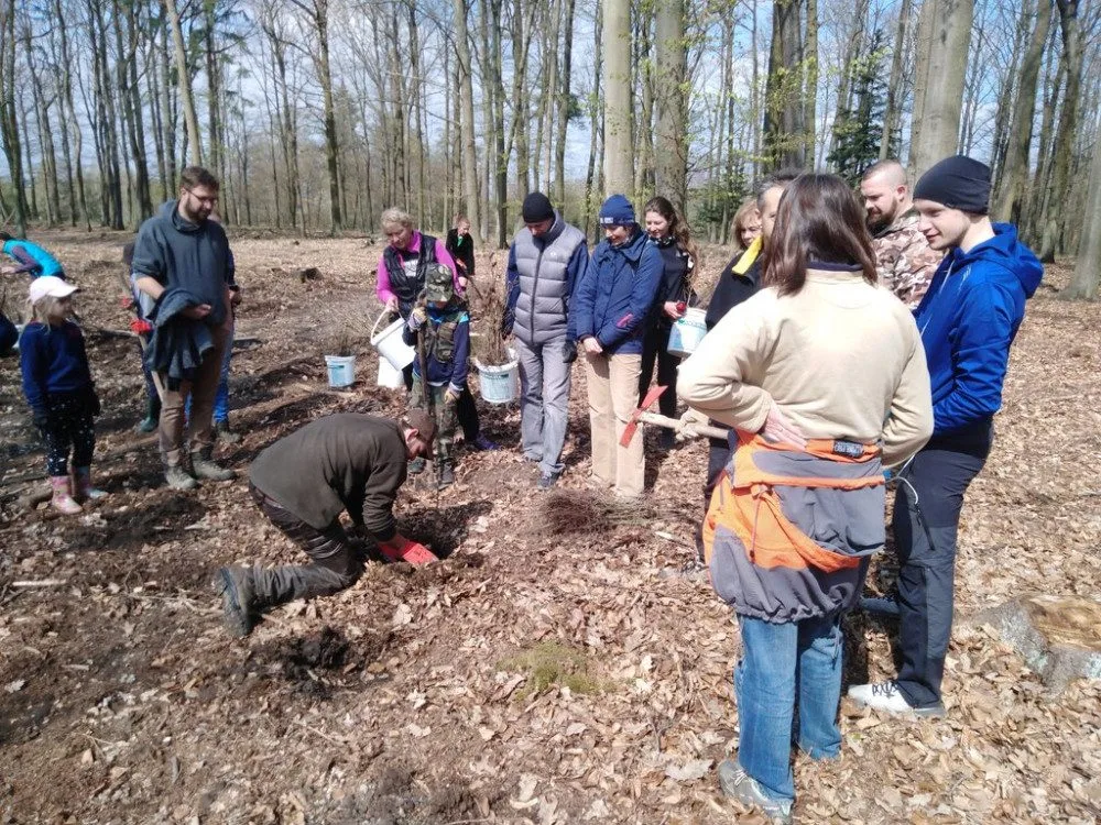 Plzeňané se mohou zapojit do obnovy lesa a vysadit si v arboretu Sofronka svůj stromek