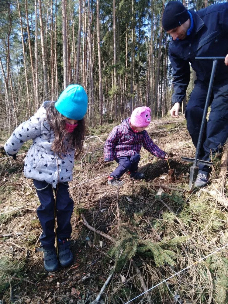Plzeňané se mohou zapojit do obnovy lesa a vysadit si v arboretu Sofronka svůj stromek
