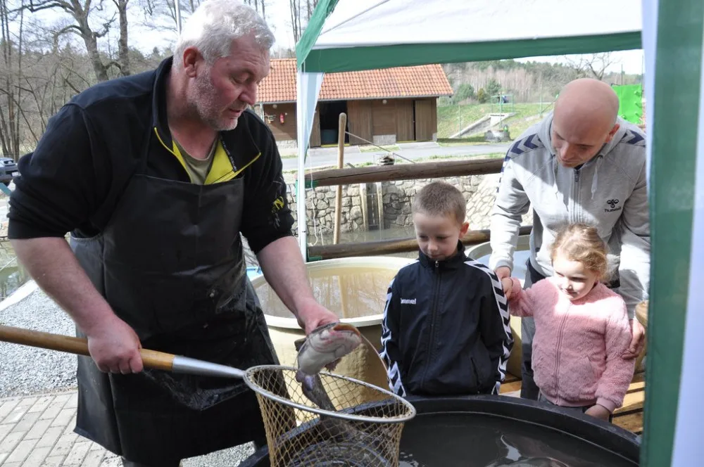 Městské sádky nabídnou velikonoční prodej ryb, podle tradic se právě ryba servírovala jako postní jídlo