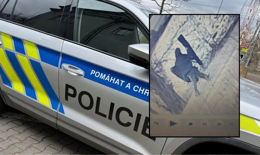 Několik střelných zbraní ukradl z jednoho domu zatím neznámý pachatel, teď po něm pátrá policie