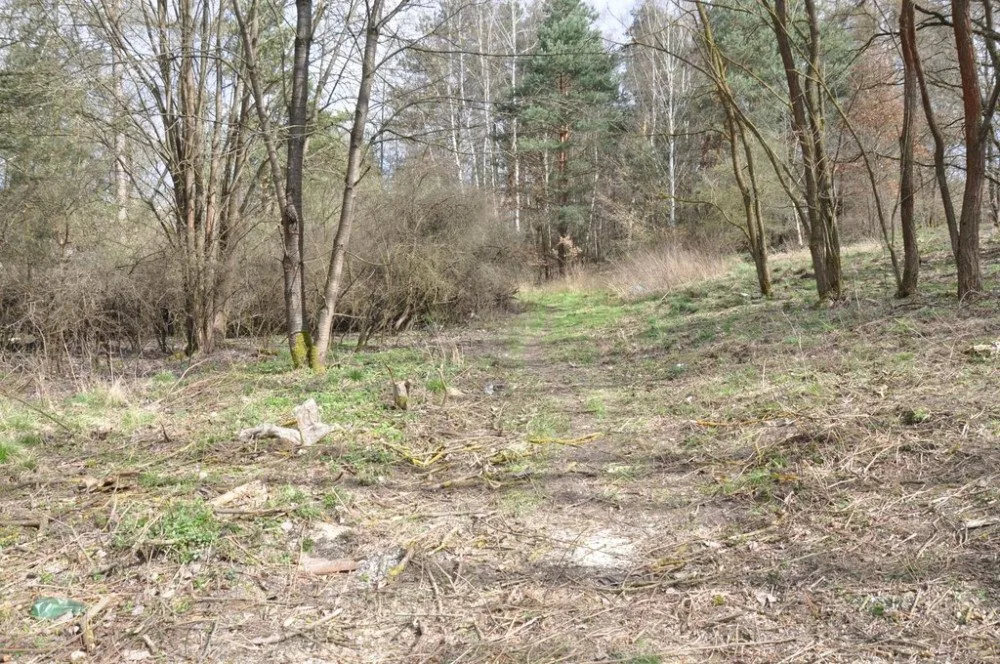 Radnice začíná stavět poslední úsek cyklostezky podél Vejprnického potoka, hotovo bude na začátku prázdnin