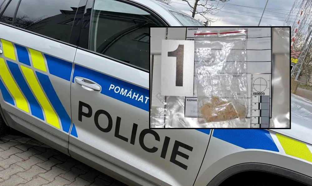 Dealerka u sebe měla pervitin