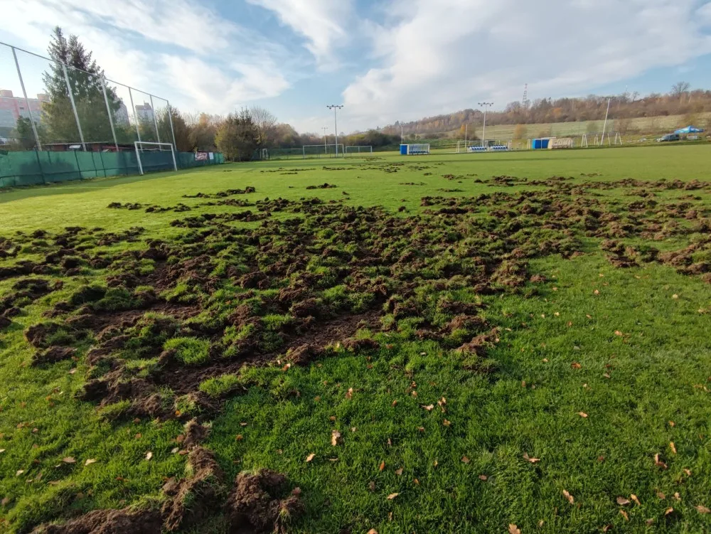 Město a první obvod poskytne fotbalistům čtyři miliony na obnovu hřiště rozrytého od divočáků