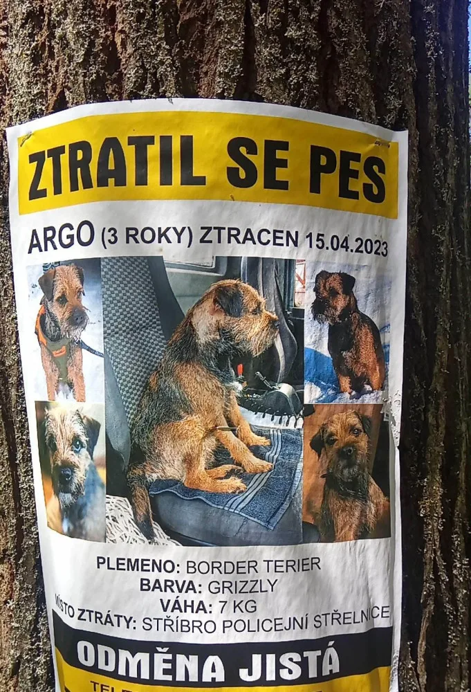 Ztracený pes skoro měsíc přežíval uvězněný ve štole, záchrana přišla čirou náhodou