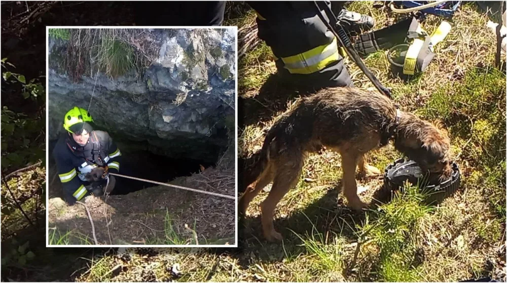 Ztracený pes skoro měsíc přežíval uvězněný ve štole, záchrana přišla čirou náhodou