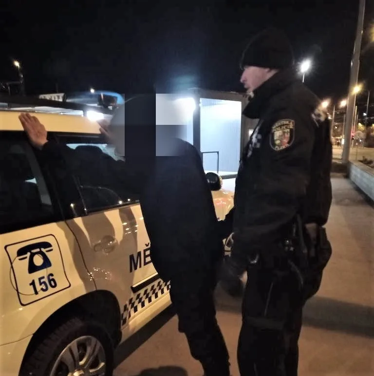ilustrační foto z jiného zákroku plzeňské městské policie