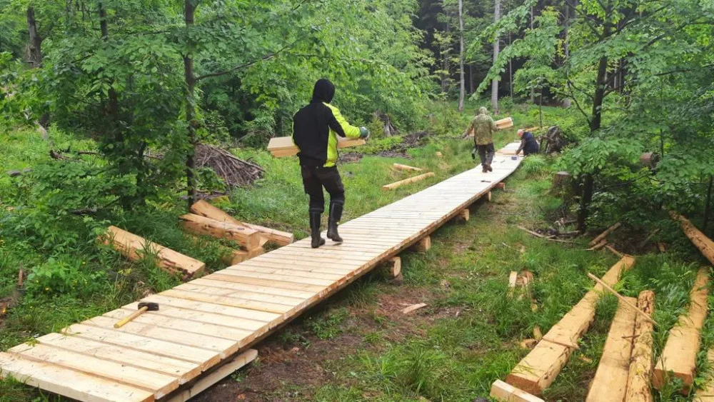 Turisté se díky nové stezce dostanou k Boubínskému jezírku