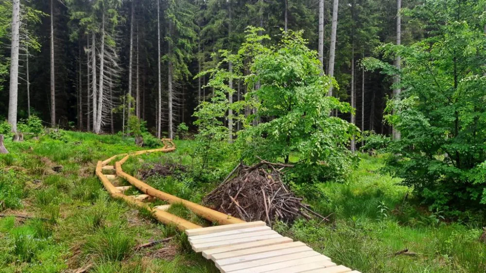 Turisté se díky nové stezce dostanou k Boubínskému jezírku