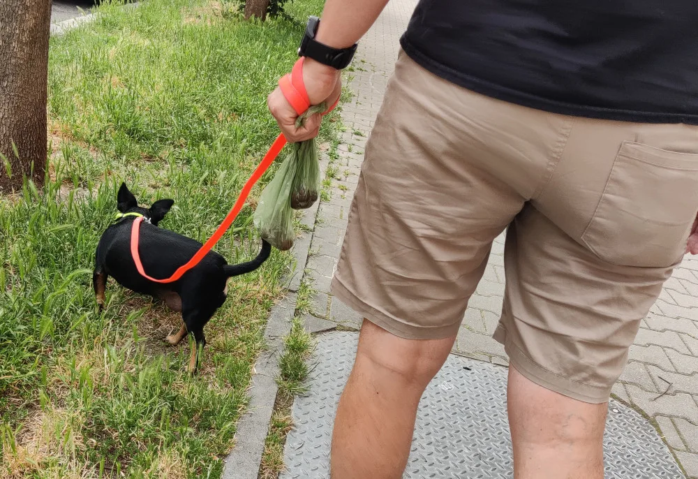 Nezodpovědní pejskaři dělají z některých lokalit v Plzni úplné minové pole, pokuty padají jen výjimečně