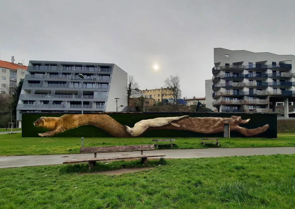 Jeden z návrhů, který se bude realizovat v Plzni