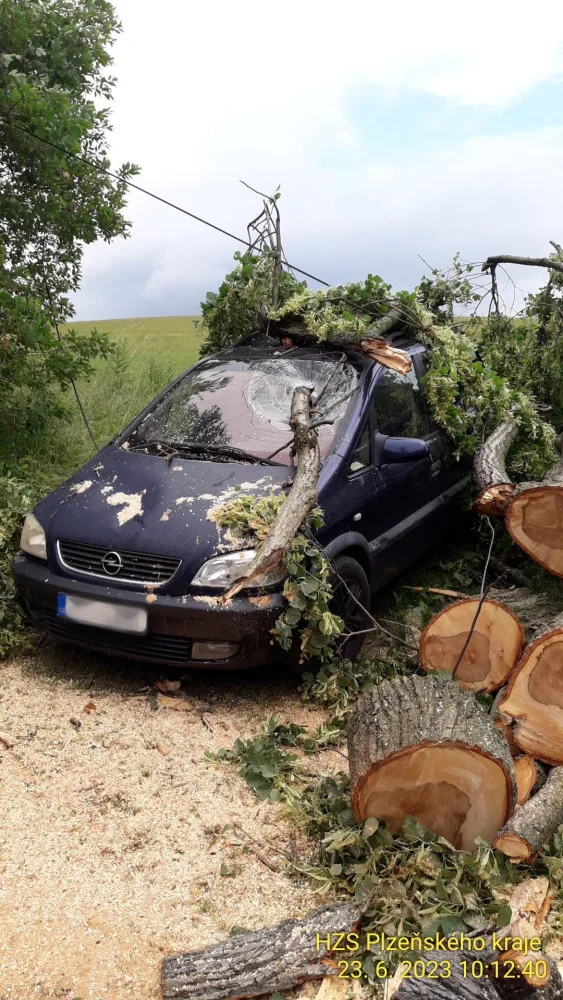 Na Domažlicku padl ve čtvrtek strom na jeden automobil
