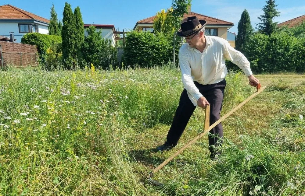 František Baloun při sekání trávy kosou.