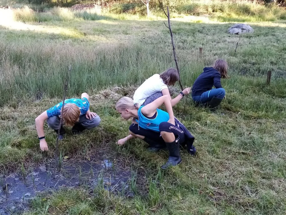 Monitoring rosnatky prostřední, foto: Věra Končická