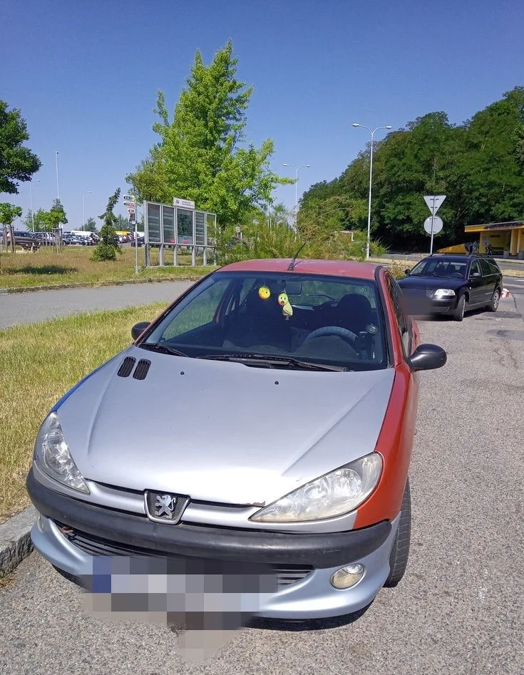 Řidič tohoto vozu zaparkoval na kruhovém objezdu u nemocnice. Za volantem automobilu ale vůbec neměl sedět