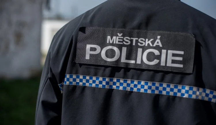 Opilec si nejprve troufal na strážníky, poté si při úprku ze záchytky rozbil hlavu