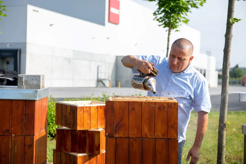 Pomáháme hezky česky: PENNY pro včely