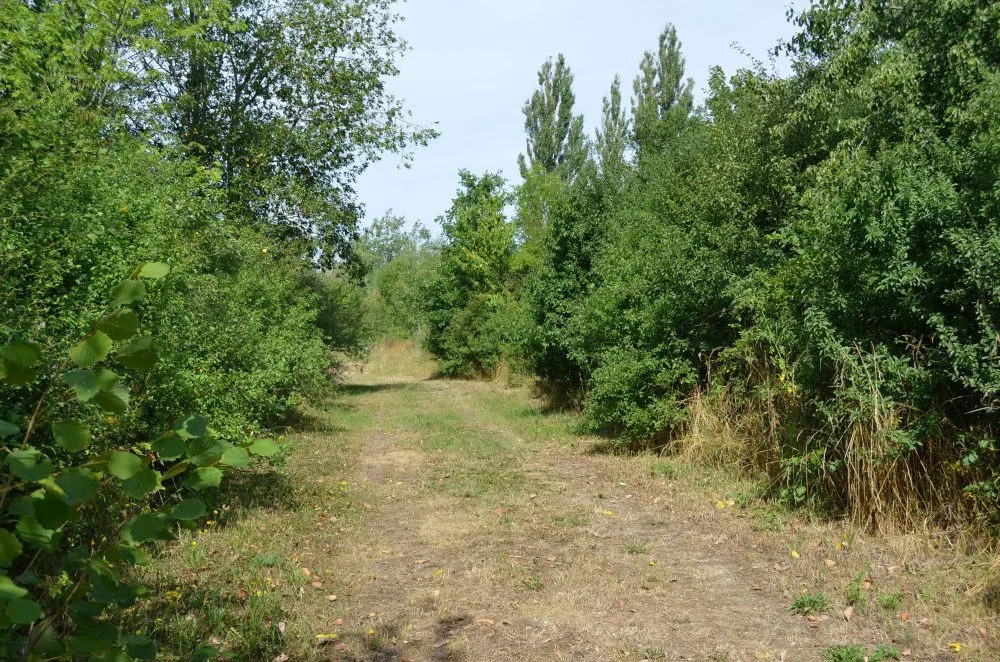 U rokycanského skateparku vyroste nová pumptracková dráha a napojí se na cyklostezku