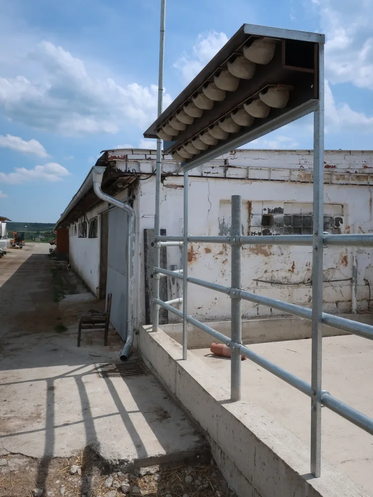 Jiřičky si oblíbily umělá hnízda u kravína, ochránci zvířat jim tam proto nainstalovali další řadovku