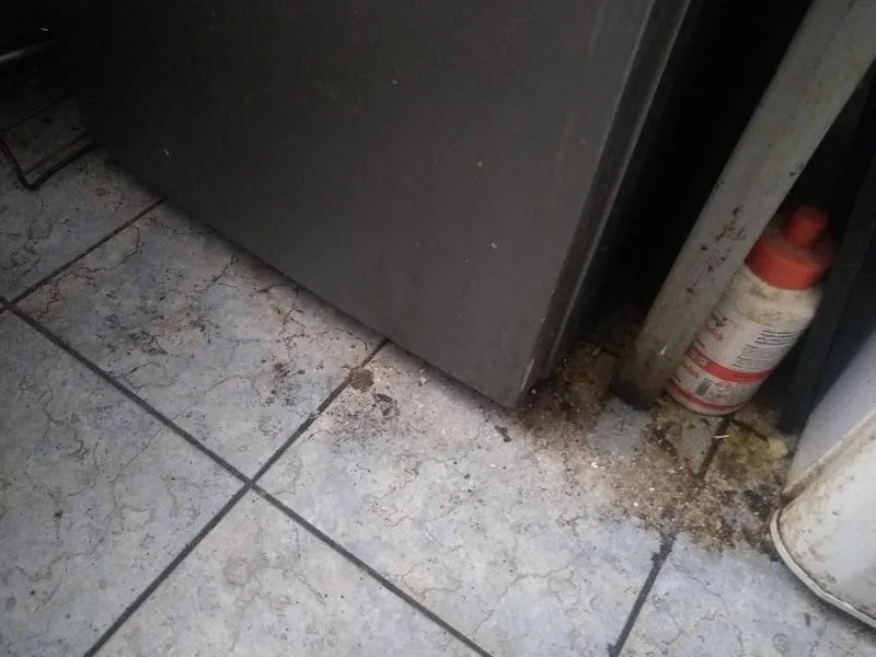 Prostory bistra v době, kdy tam byla na kontrole inspekce