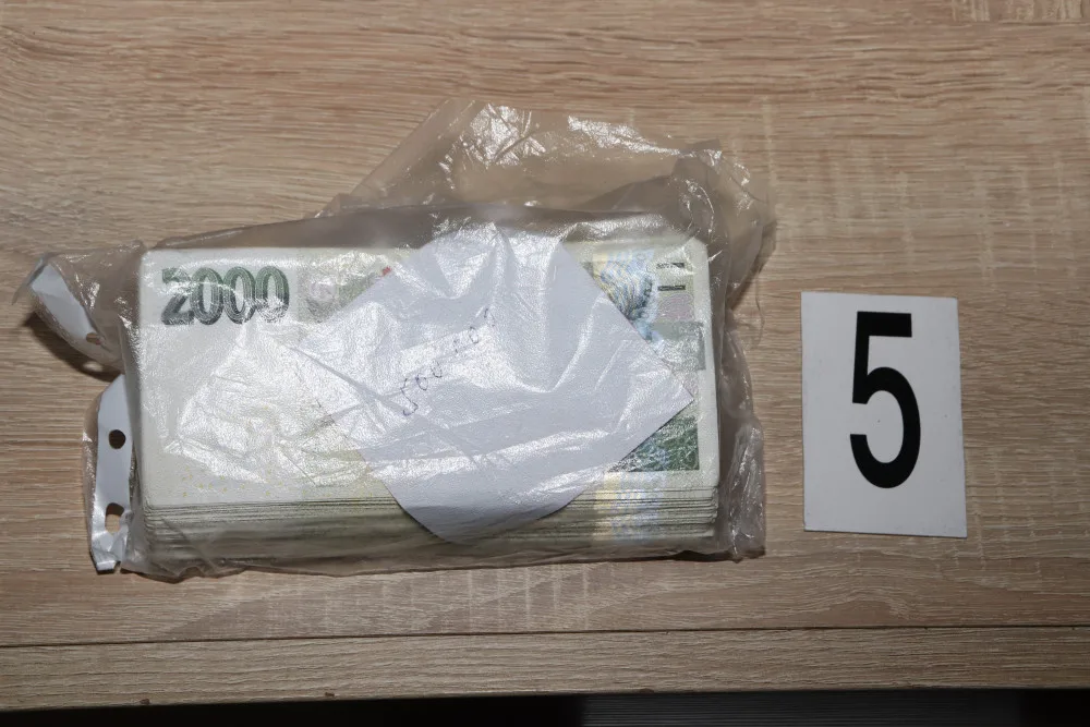 Daňoví podvodníci si díky falešným fakturám přišli na 12 milionů, policie zadržela osm lidí