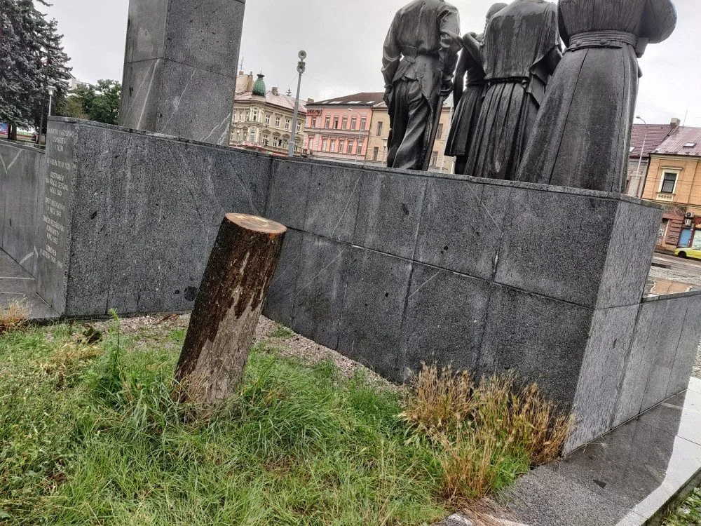 Lidé a psi umořili močením lípu, která rostla nad plzeňským památníkem na náměstí T.G.M. Město ji muselo pokácet