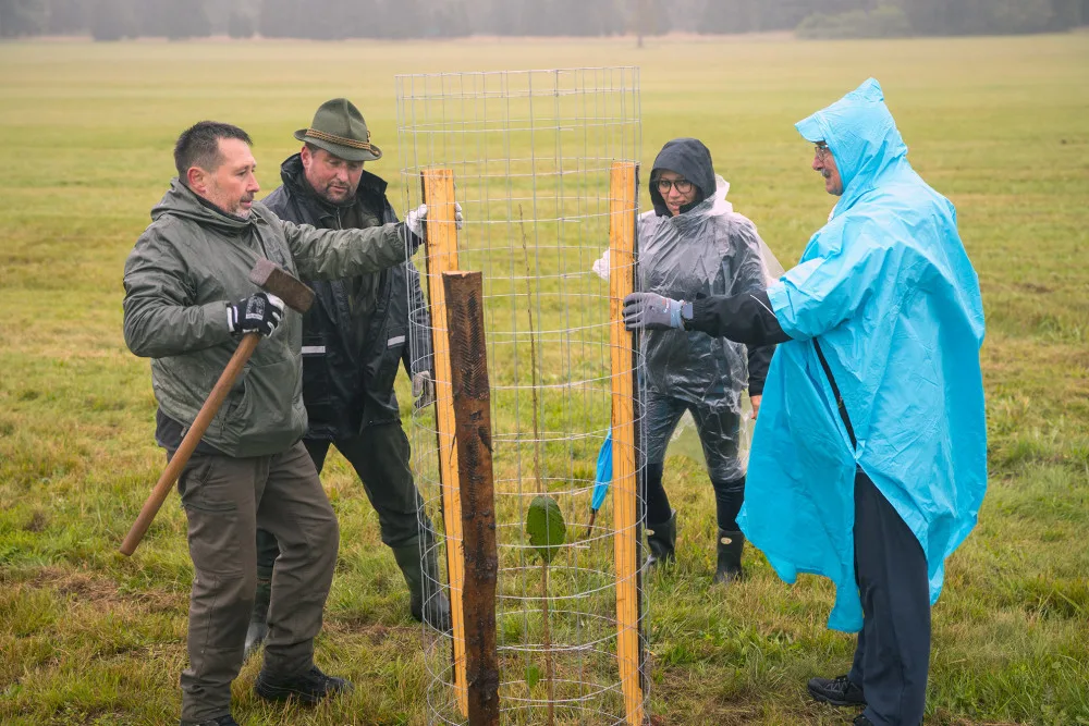 Loňského stromsázení v Brdech se zúčastnily tři tisíce dobrovolníků