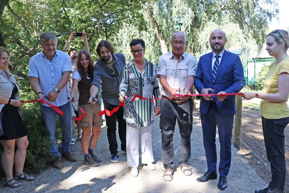 Šimpanzi v plzeňské zoo dovádějí v novém výběhu, nechybí tam prolézačky, lana a vodní příkop