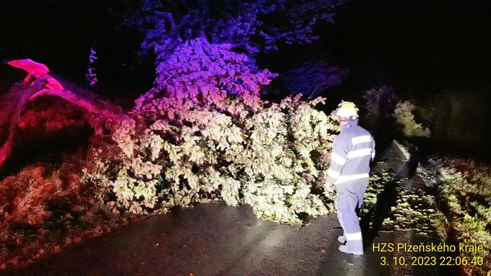 Bouře se silným větrem pustošila západ Čech, ve dvou případech najel vlak do spadlého stromu