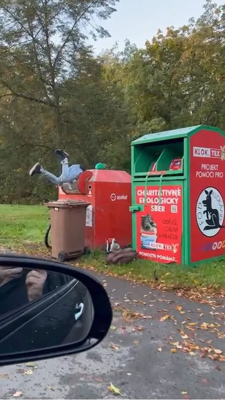 Smrtelně nebezpečný sběr elektroodpadu z kovových kontejnerů stále láká hazardéry se životem