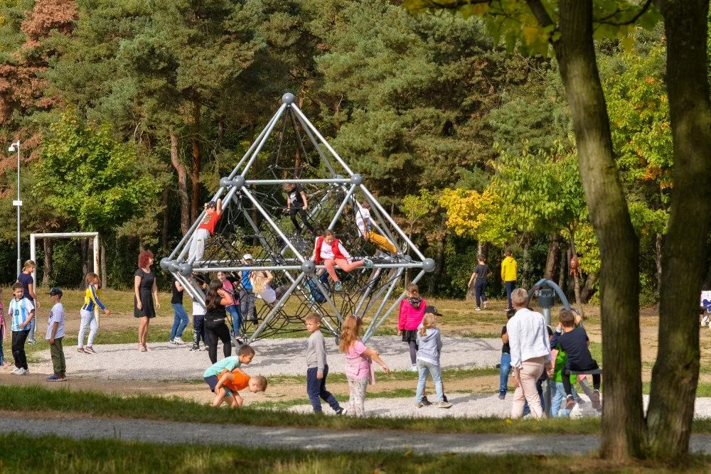 Špitálský les zas o něco prokoukl. Dostal nové cesty, lavičky  a vybavení dětského hřiště za 2,6 milionu