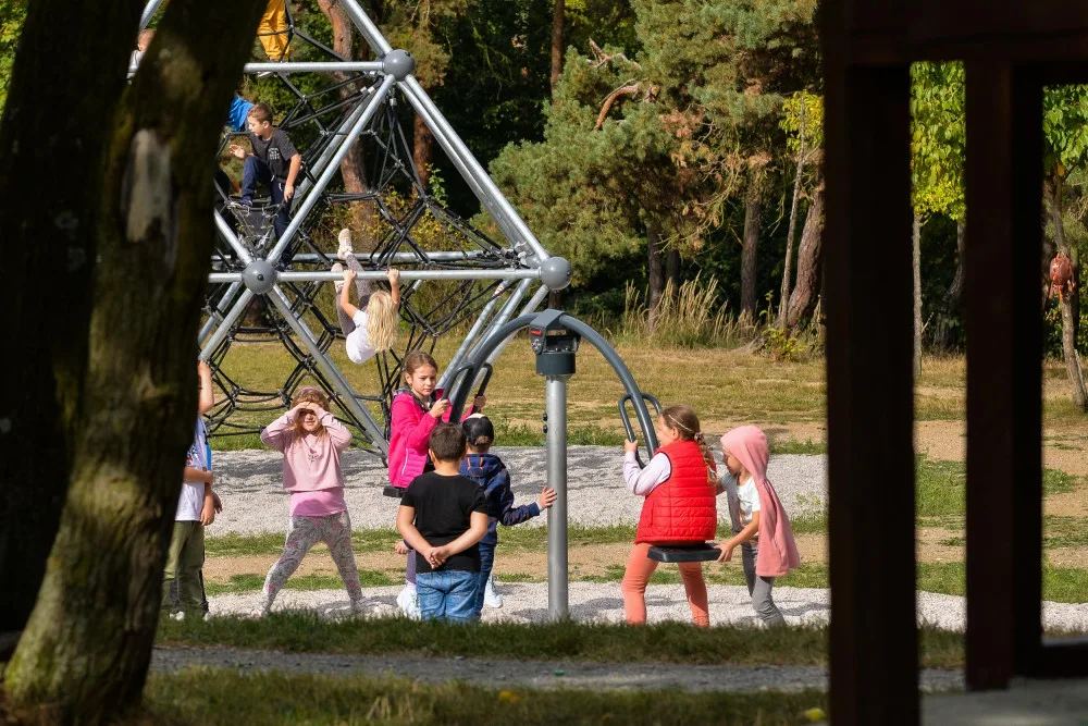 Špitálský les zas o něco prokoukl. Dostal nové cesty, lavičky  a vybavení dětského hřiště za 2,6 milionu