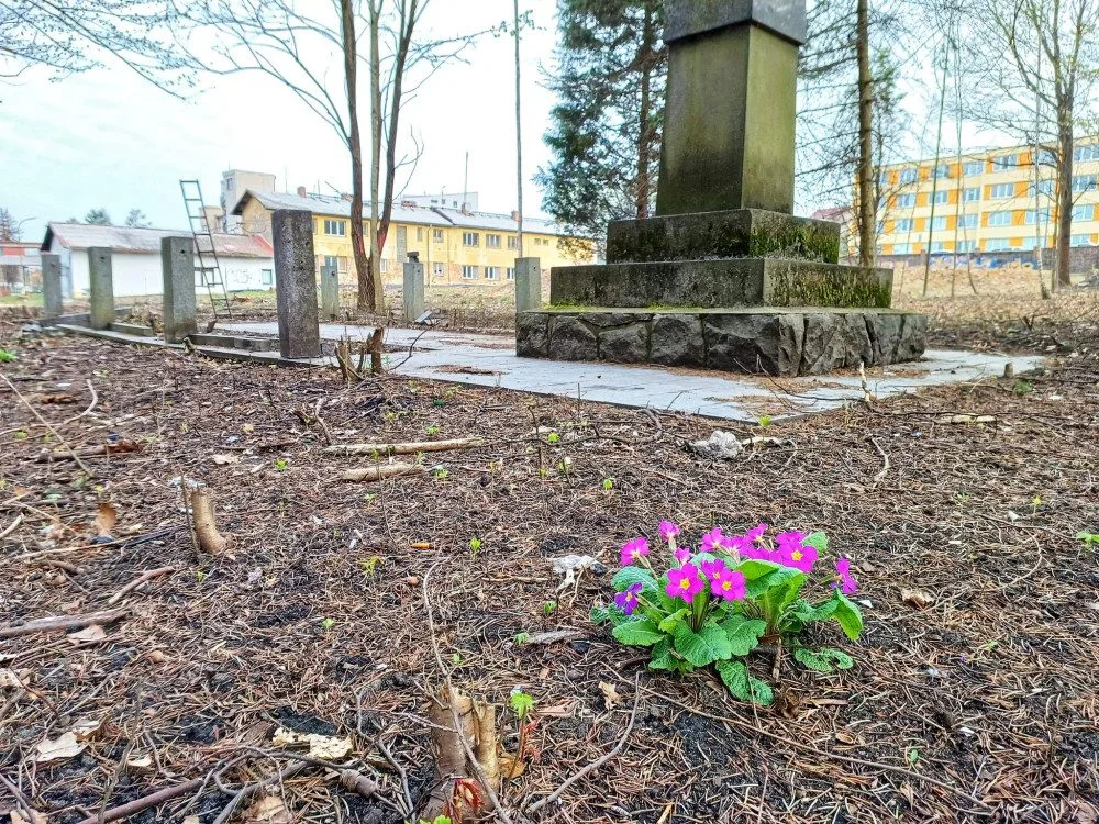 Dříve zpustlý Papírenský park projde proměnou, lidé se budou moci seznámit s návrhem revitalizace