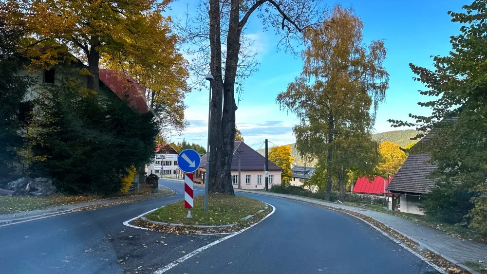 Uprostřed šumavské silnice vyrůstá z ostrůvku chráněný jasan, který nelze pokácet. Některým řidičům to vadí