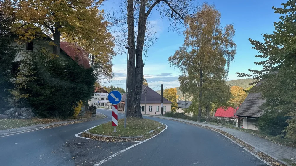 Uprostřed šumavské silnice vyrůstá z ostrůvku chráněný jasan, který nelze pokácet. Některým řidičům to vadí