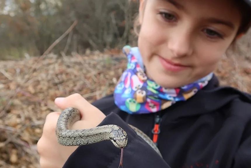 Z hada se nakonec vyklubala užovka
