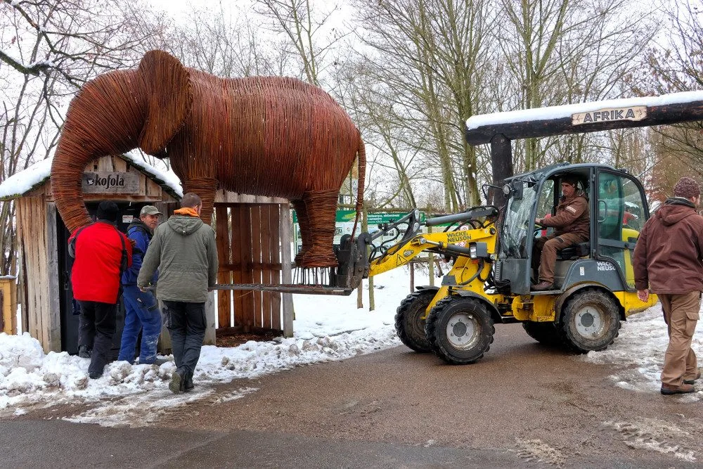 Závěrečná fáze transportu a instalace slona