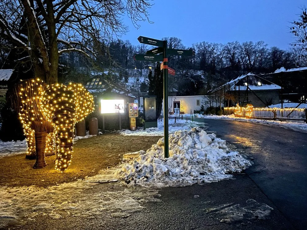 Zoo Plzeň získala svého prvního slona. Je absolutně nenáročný na chov a navíc i krásně svítí