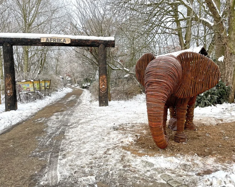 Zoo Plzeň získala svého prvního slona. Je absolutně nenáročný na chov a navíc i krásně svítí
