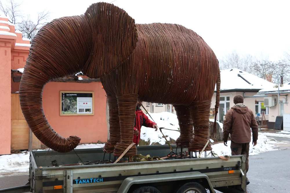 Závěrečná fáze transportu a instalace slona