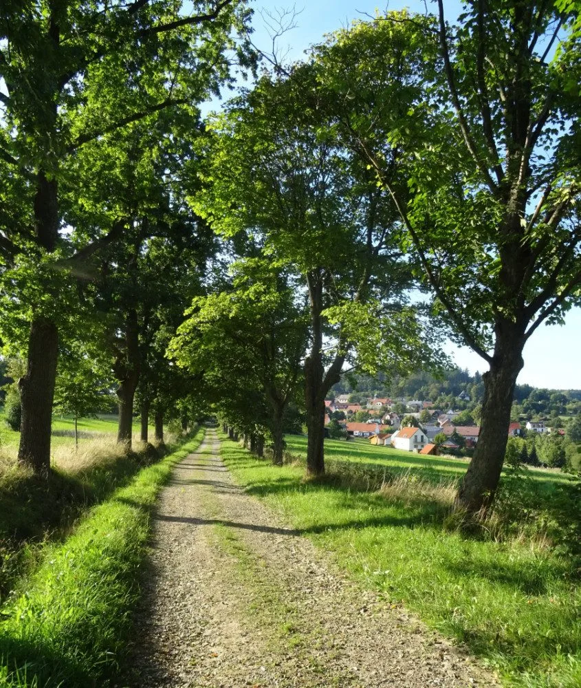 Alej k Pozorce, foto: Zdeněk Reitmeier